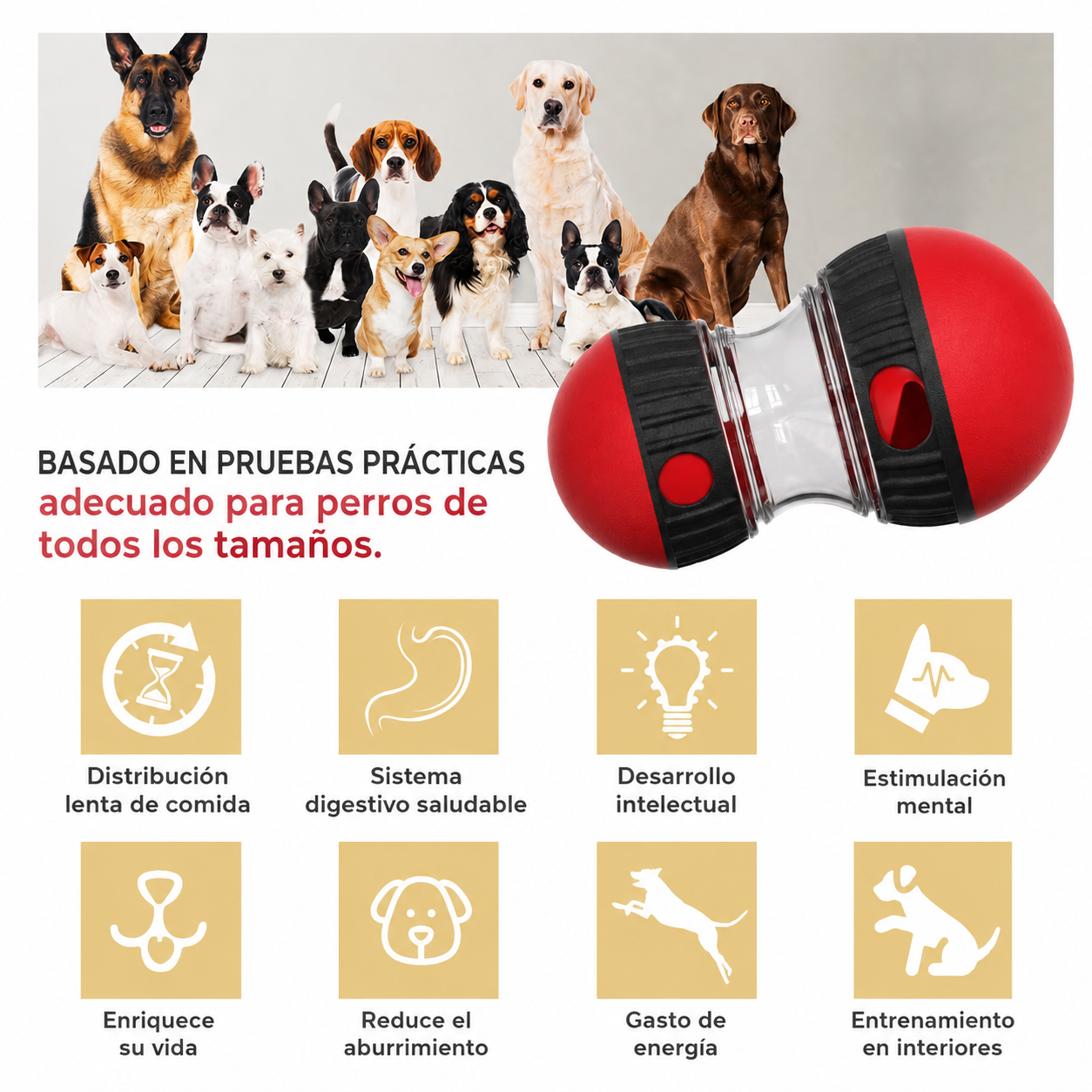 Juguete Interactivo PawRoll