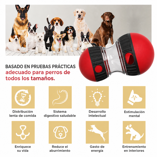 Juguete Interactivo PawRoll
