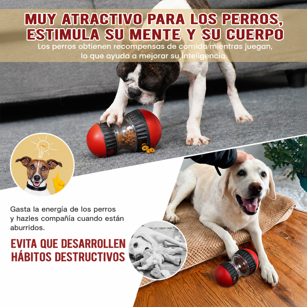 Juguete Interactivo PawRoll