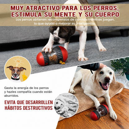Juguete Interactivo PawRoll